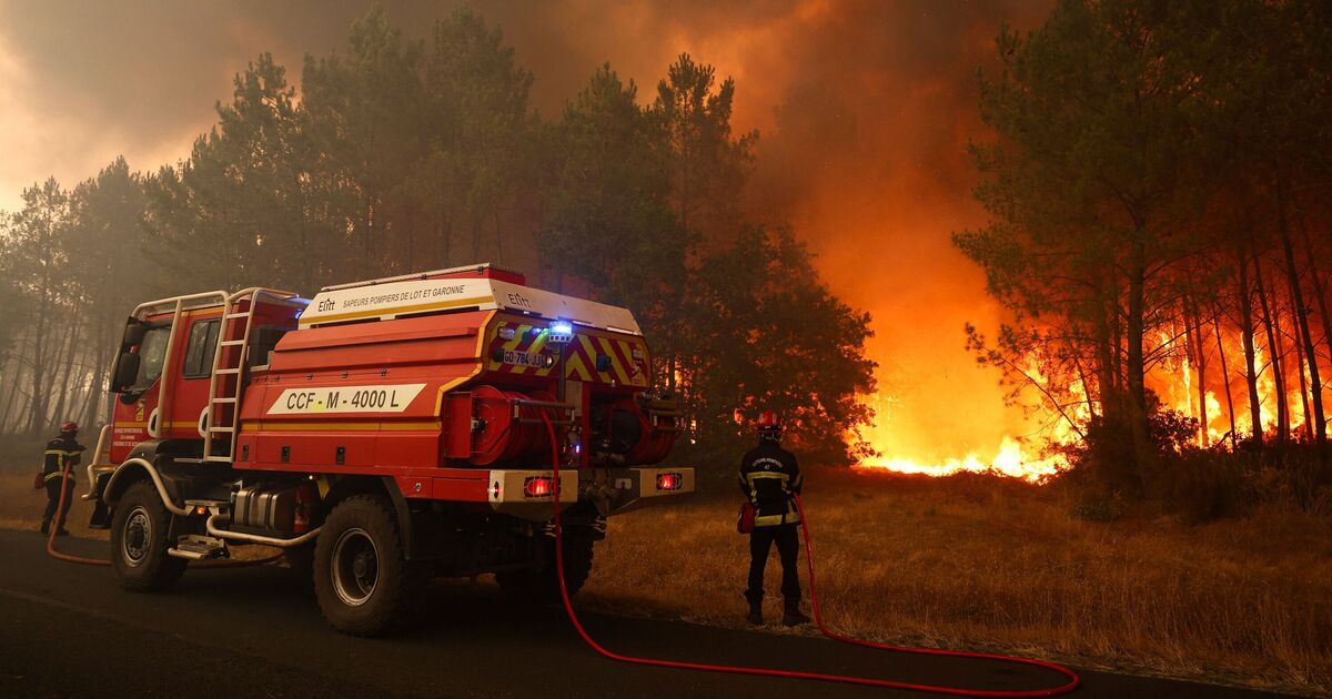 Horror ‘firenado’ scorches French holiday hotspot – thousands evacuated | World | News